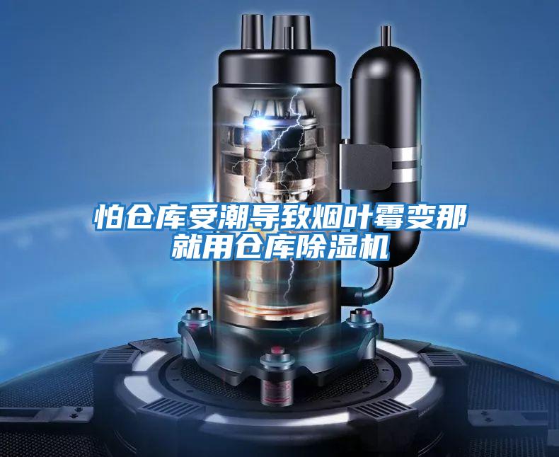 怕倉庫受潮導致煙葉霉變那就用倉庫除濕機