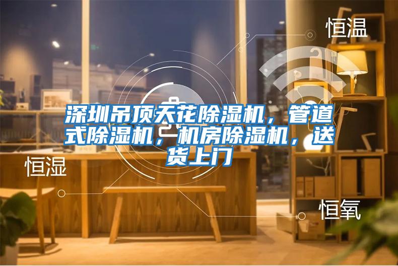 深圳吊頂天花除濕機(jī)，管道式除濕機(jī)，機(jī)房除濕機(jī)，送貨上門