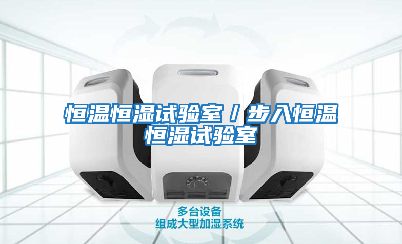 恒溫恒濕試驗室/步入恒溫恒濕試驗室