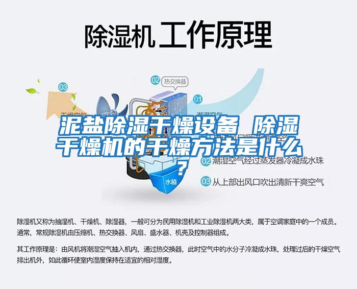 泥鹽除濕干燥設備 除濕干燥機的干燥方法是什么?