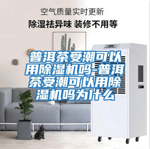 普洱茶受潮可以用除濕機嗎-普洱茶受潮可以用除濕機嗎為什么