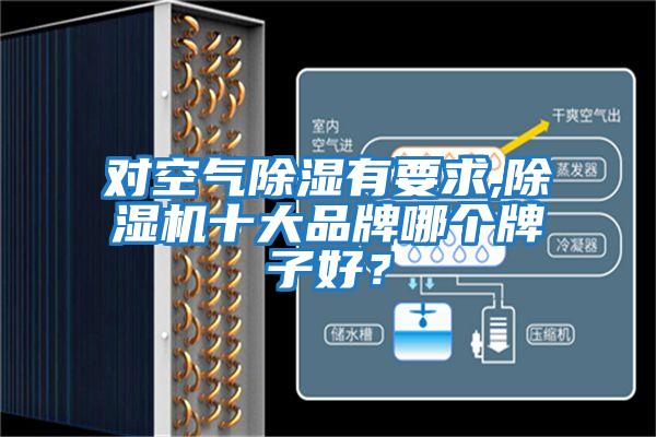 對空氣除濕有要求,除濕機十大品牌哪個牌子好?