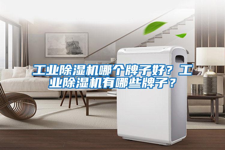 工業除濕機哪個牌子好？工業除濕機有哪些牌子？