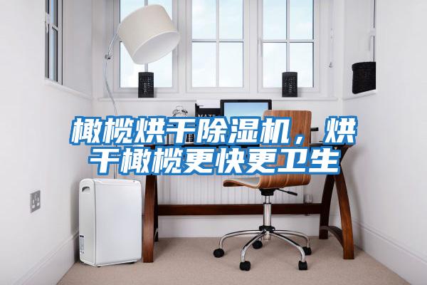 橄欖烘干除濕機,烘干橄欖更快更衛生