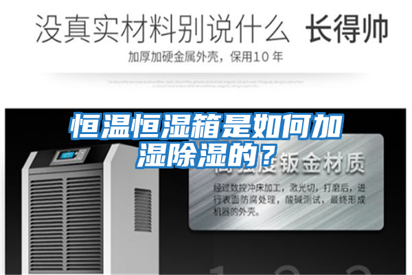 恒溫恒濕箱是如何加濕除濕的?