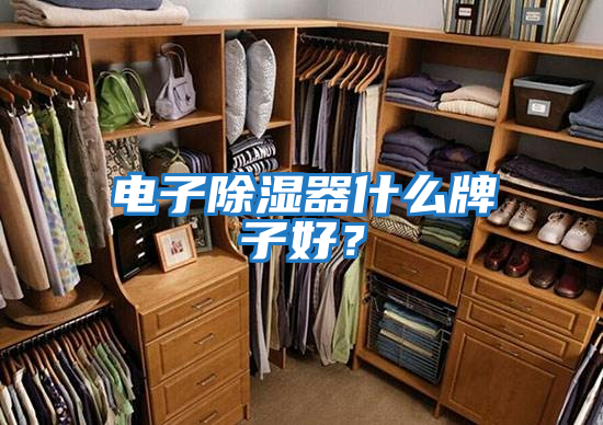 電子除濕器什么牌子好？