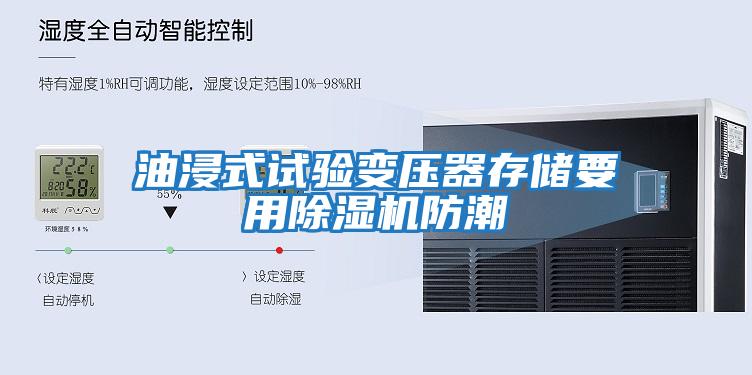 油浸式試驗變壓器存儲要用除濕機(jī)防潮