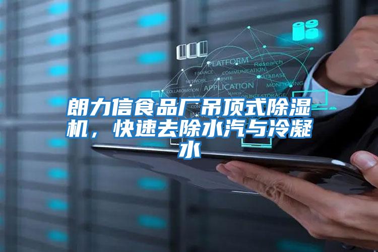 朗力信食品廠吊頂式除濕機，快速去除水汽與冷凝水