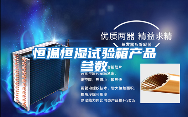 恒溫恒濕試驗箱產品參數(shù)