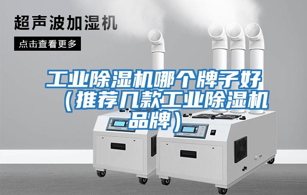 工業除濕機哪個牌子好(推薦幾款工業除濕機品牌)