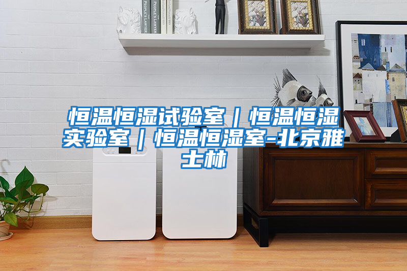 恒溫恒濕試驗(yàn)室|恒溫恒濕實(shí)驗(yàn)室|恒溫恒濕室-北京雅士林