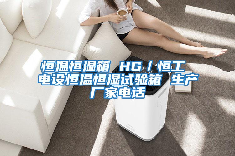恒溫恒濕箱 HG/恒工 電設恒溫恒濕試驗箱 生產廠家電話