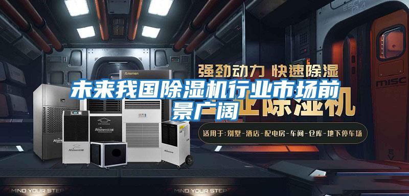 未來我國除濕機行業(yè)市場前景廣闊