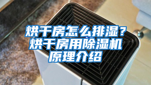烘干房怎么排濕?烘干房用除濕機原理介紹
