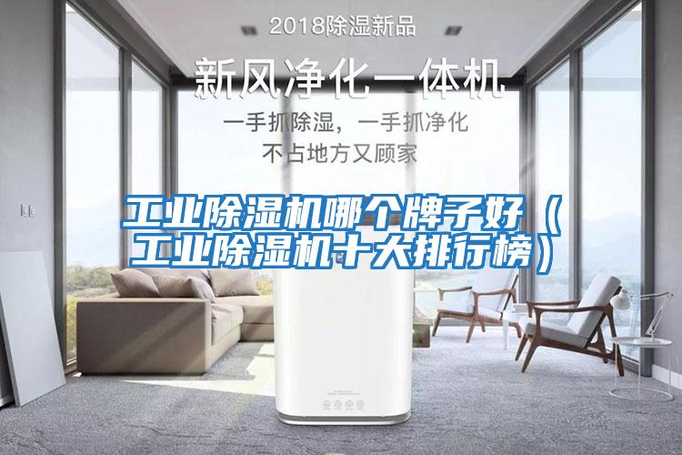 工業(yè)除濕機(jī)哪個(gè)牌子好(工業(yè)除濕機(jī)十大排行榜)