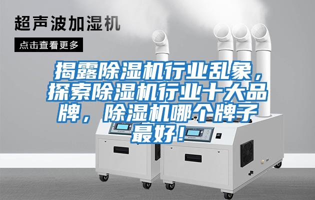 揭露除濕機行業亂象,探索除濕機行業十大品牌,除濕機哪個牌子最好!