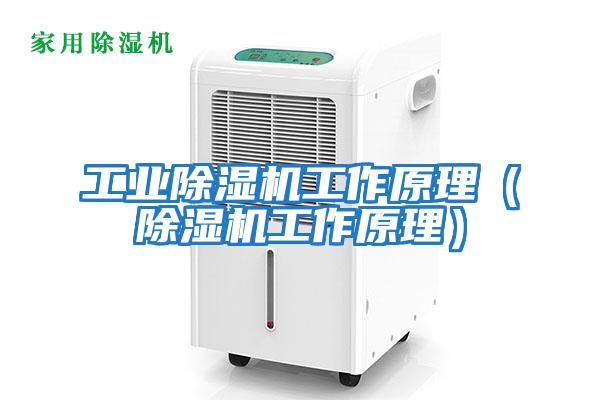 工業除濕機工作原理(除濕機工作原理)