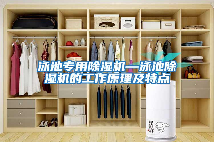 泳池專用除濕機—泳池除濕機的工作原理及特點
