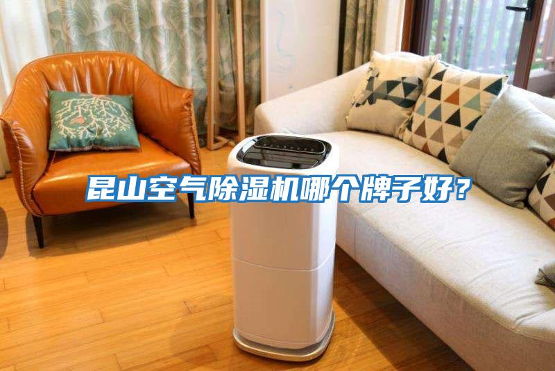 昆山空氣除濕機哪個牌子好？