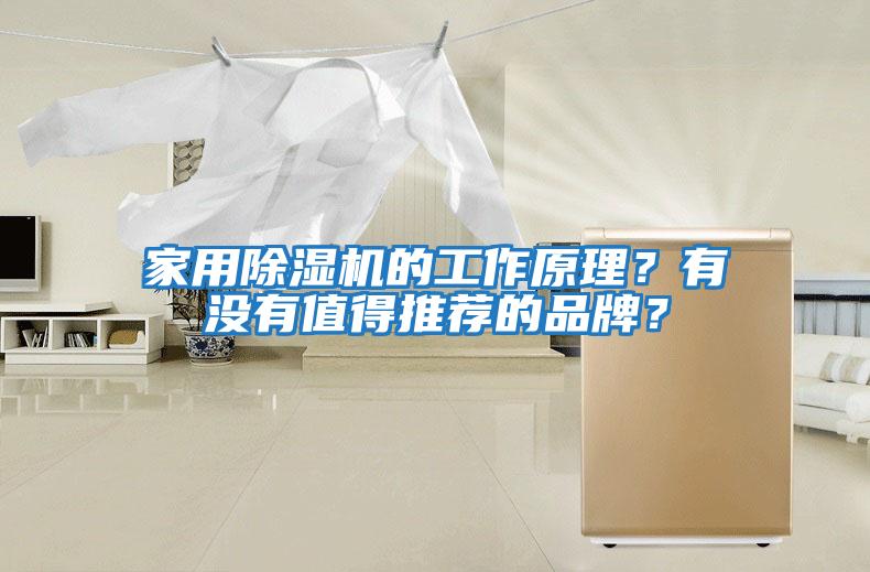 家用除濕機(jī)的工作原理?有沒有值得推薦的品牌?