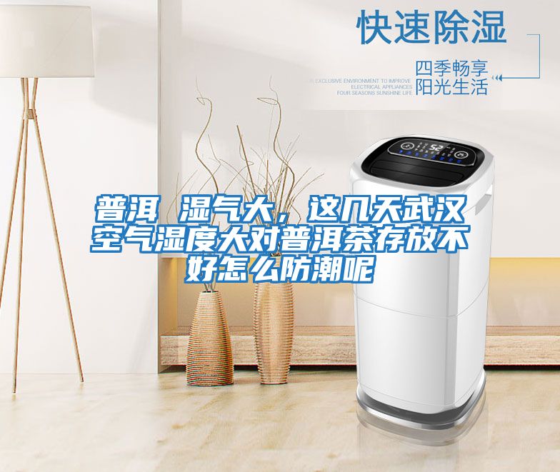 普洱 濕氣大，這幾天武漢空氣濕度大對(duì)普洱茶存放不好怎么防潮呢