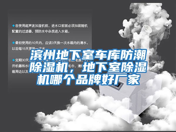 濱州地下室車庫防潮除濕機，地下室除濕機哪個品牌好廠家