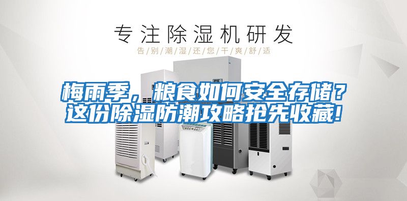 梅雨季,糧食如何安全存儲(chǔ)?這份除濕防潮攻略搶先收藏!