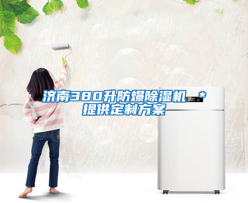 濟(jì)南380升防爆除濕機(jī) *提供定制方案