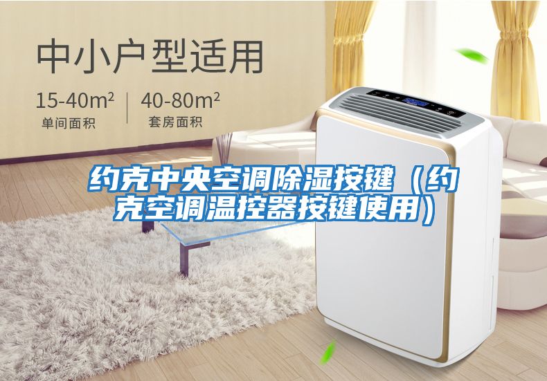 約克中央空調(diào)除濕按鍵(約克空調(diào)溫控器按鍵使用)