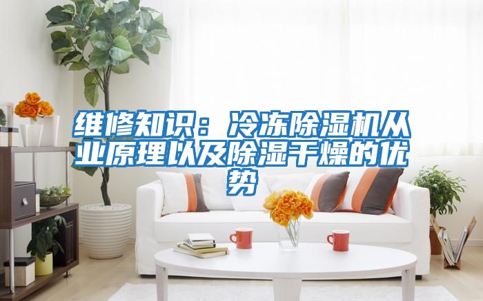 維修知識:冷凍除濕機從業原理以及除濕干燥的優勢