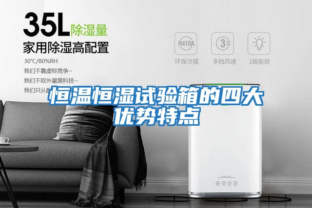 恒溫恒濕試驗箱的四大優勢特點
