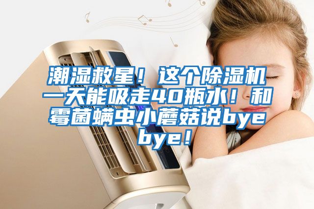 潮濕救星!這個除濕機一天能吸走40瓶水!和霉菌螨蟲小蘑菇說bye bye!