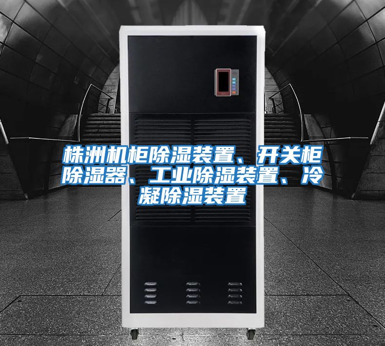 株洲機(jī)柜除濕裝置、開關(guān)柜除濕器、工業(yè)除濕裝置、冷凝除濕裝置