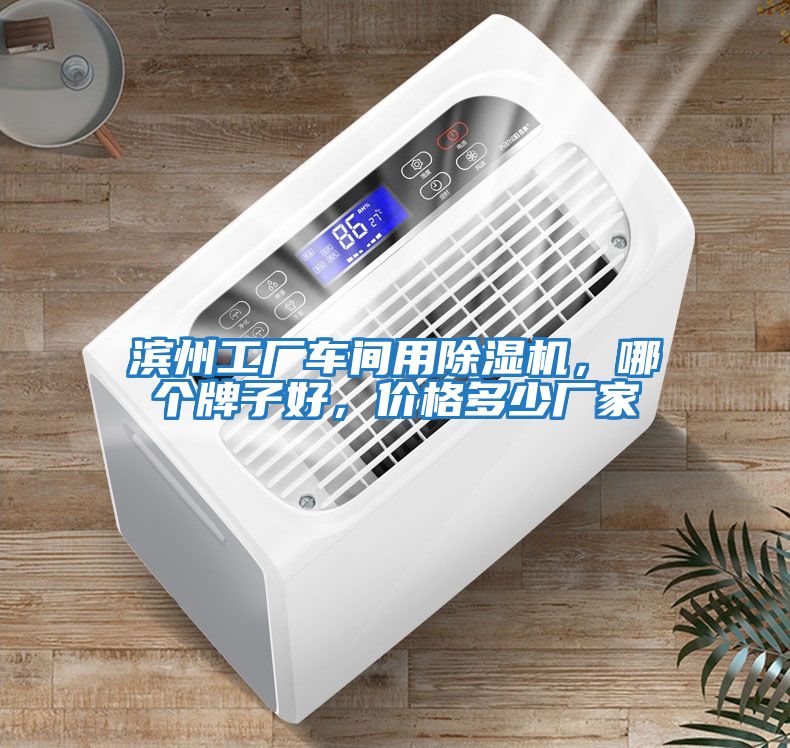 濱州工廠車間用除濕機,哪個牌子好,價格多少廠家