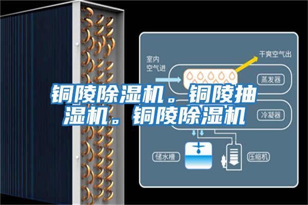 銅陵除濕機。銅陵抽濕機。銅陵除濕機