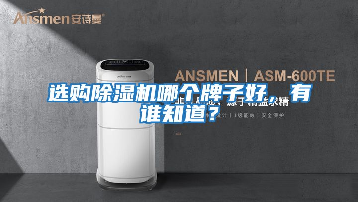 選購除濕機哪個牌子好，有誰知道？