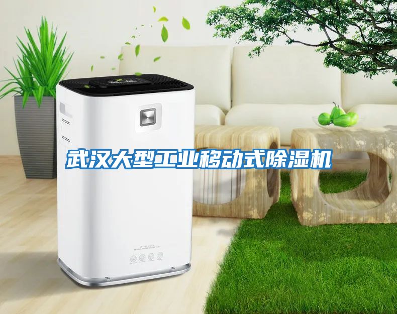 武漢大型工業移動式除濕機