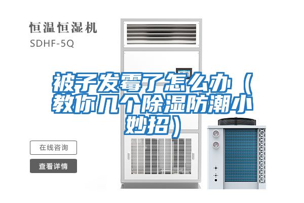 被子發霉了怎么辦(教你幾個除濕防潮小妙招)