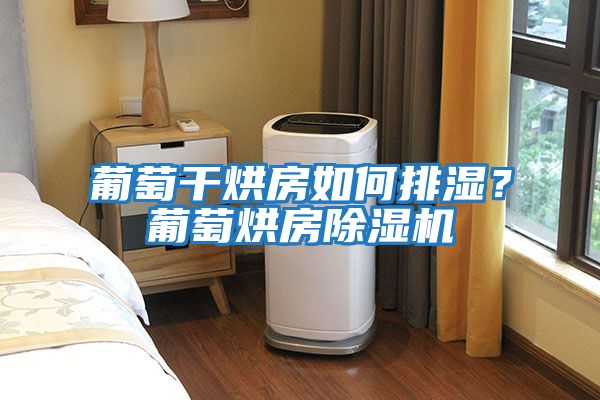 葡萄干烘房如何排濕?葡萄烘房除濕機(jī)