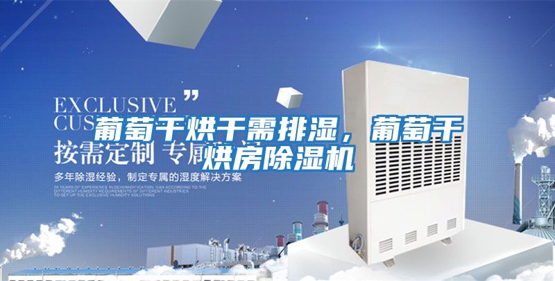 葡萄干烘干需排濕,葡萄干烘房除濕機(jī)