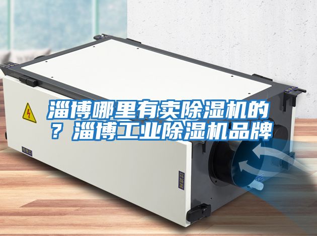 淄博哪里有賣除濕機(jī)的？淄博工業(yè)除濕機(jī)品牌