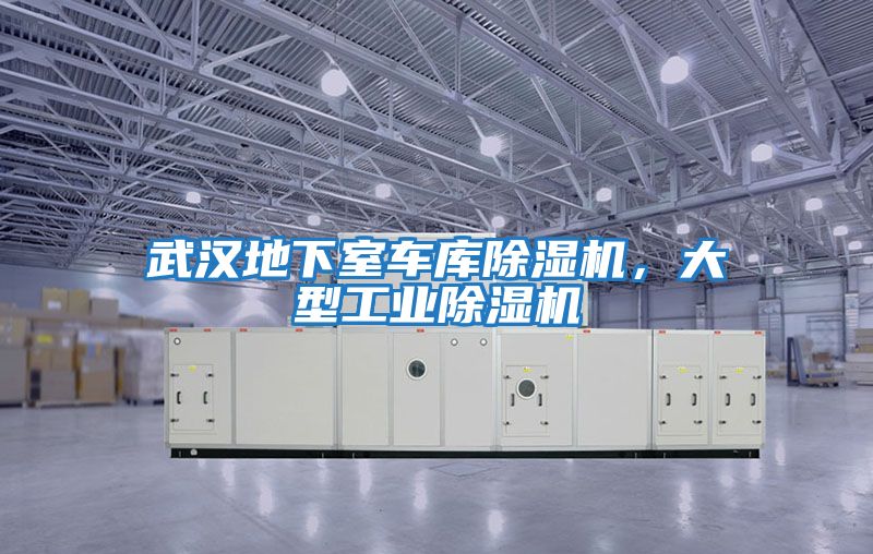 武漢地下室車庫除濕機(jī)，大型工業(yè)除濕機(jī)