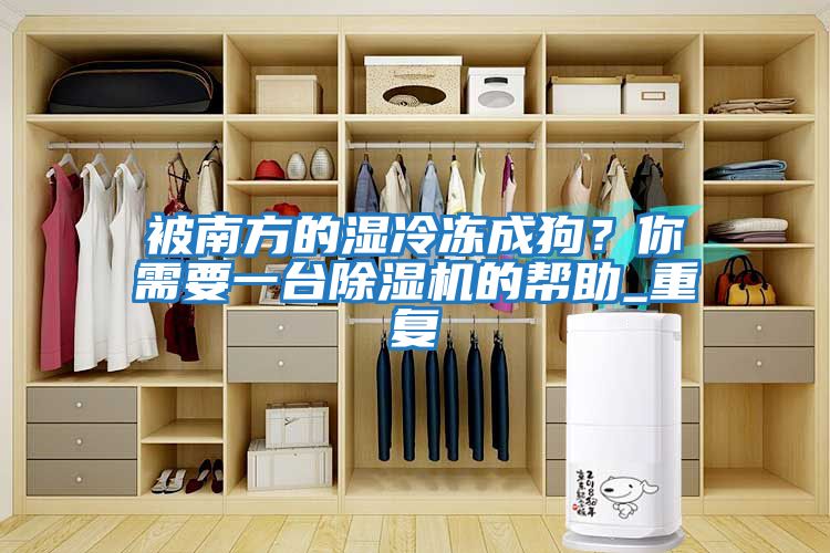 被南方的濕冷凍成狗?你需要一臺除濕機的幫助_重復