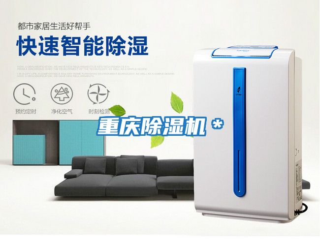 重慶除濕機*