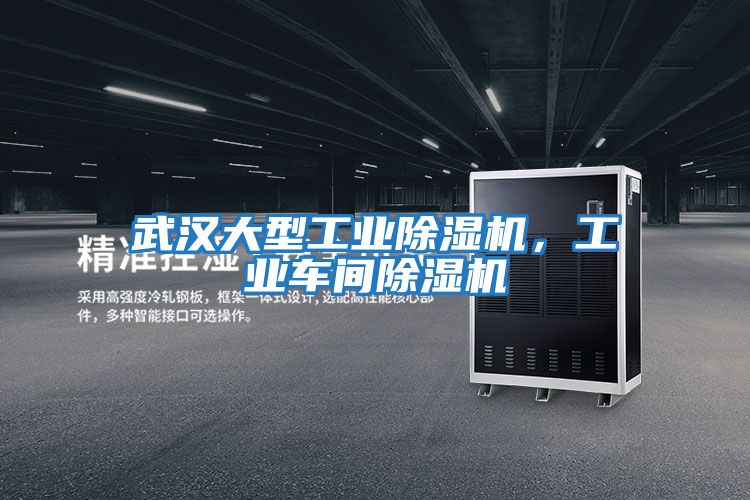 武漢大型工業除濕機,工業車間除濕機