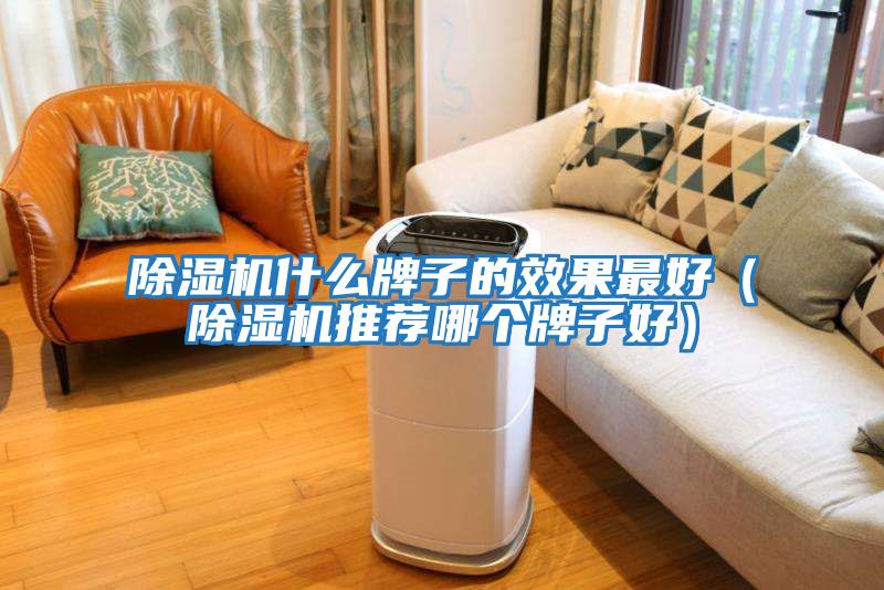 除濕機什么牌子的效果最好(除濕機推薦哪個牌子好)