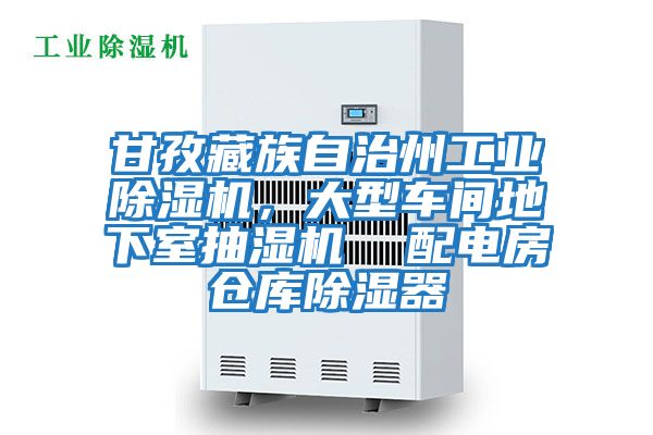 甘孜藏族自治州工業(yè)除濕機，大型車間地下室抽濕機  配電房倉庫除濕器