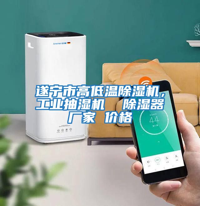 遂寧市高低溫除濕機,工業抽濕機  除濕器廠家 價格