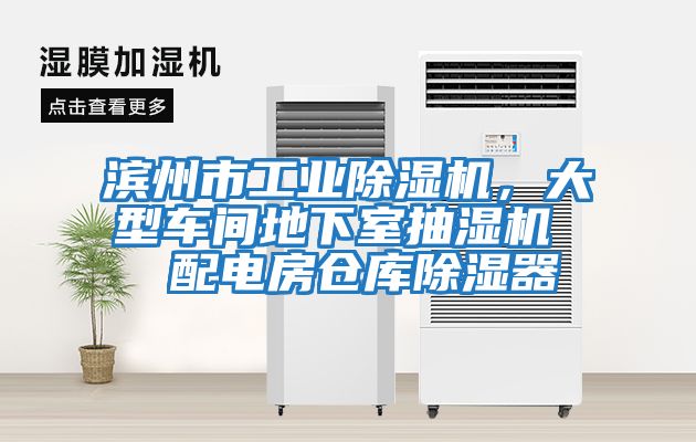濱州市工業除濕機,大型車間地下室抽濕機  配電房倉庫除濕器