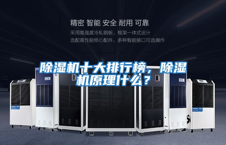 除濕機十大排行榜，除濕機原理什么？